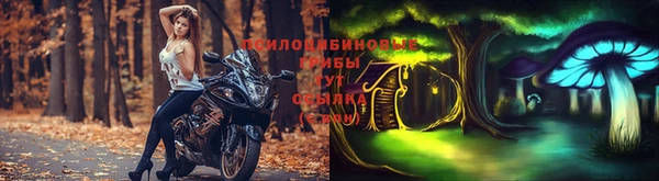 прущие крисы Беломорск